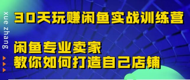 30天玩赚闲鱼实战训练营，闲鱼专业卖家教你如何打造自己店铺￼-老月项目库