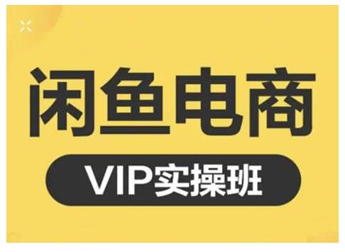 鱼客·闲鱼电商零基础入门到进阶VIP实战课程，帮助你掌握闲鱼电商所需的各项技能-老月项目库