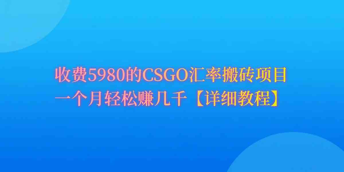 （9776期）CSGO装备搬砖，月综合收益率高达60%，你也可以！-老月项目库