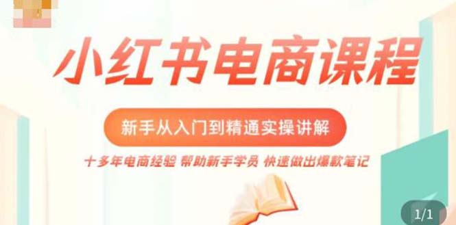 小红书电商新手入门到精通实操课，从入门到精通做爆款笔记，开店运营-老月项目库