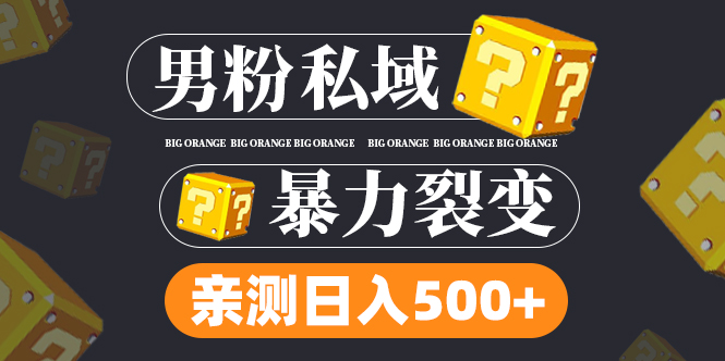 男粉项目，一个作品变现1000+，新渠道新玩法，一部手机实现月入过万-老月项目库