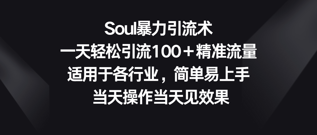 Soul暴力引流术，一天轻松引流100＋精准流量，适用于各行业，简单易上手！-老月项目库