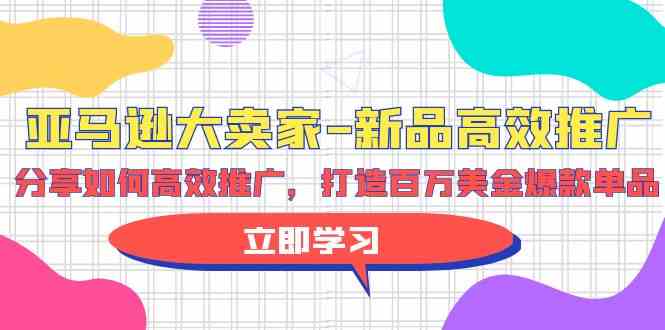 亚马逊大卖家新品高效推广，分享如何高效推广，打造百万美金爆款单品-老月项目库