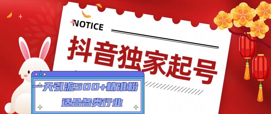 抖音独家起号，一天引流500+精准粉，适合各类行业（9节视频课）-老月项目库