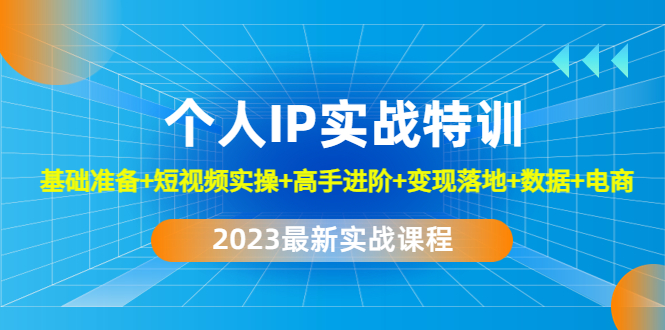 2023个人IP实战特训：基础准备+短视频实操+高手进阶+变现落地+数据+电商-老月项目库