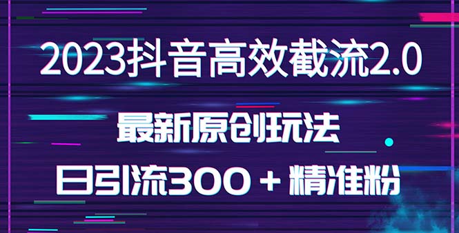 日引300＋创业粉，独家抖音高效截流2.0玩法（价值1280）-老月项目库