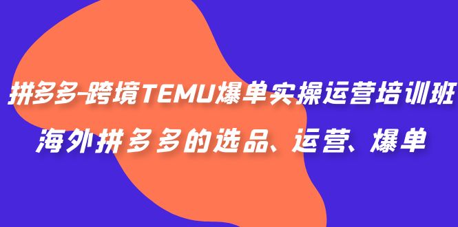 拼多多-跨境TEMU爆单实操运营培训班，海外拼多多的选品、运营、爆单-老月项目库