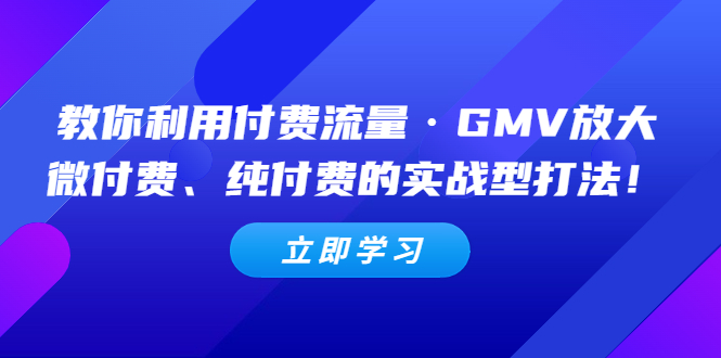 教你利用付费流量·GMV放大，微付费、纯付费的实战型打法！-老月项目库