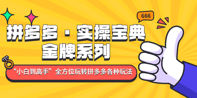 拼多多·实操宝典：金牌系列“小白到高手”带你全方位玩转拼多多各种玩法-老月项目库