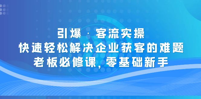 引爆·客流实操：快速轻松解决企业获客的难题，老板必修课，零基础新手-老月项目库