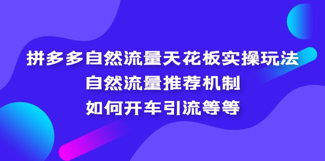 拼多多自然流量天花板实操玩法：自然流量推荐机制，如何开车引流等等-老月项目库