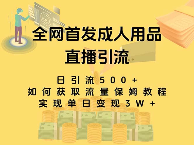 最新全网独创首发，成人用品直播引流获客暴力玩法，单日变现3w保姆级教程-老月项目库