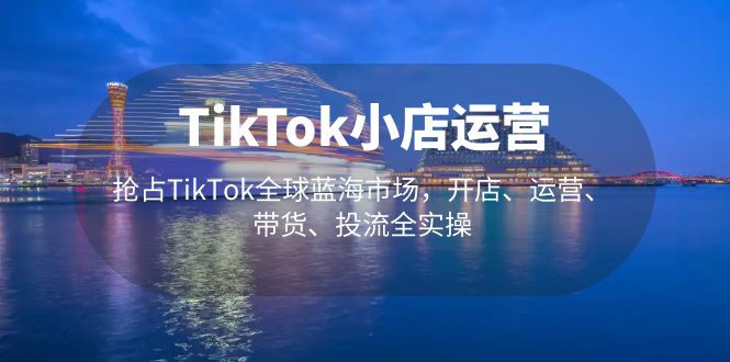 TikTok小店运营 抢占TikTok全球蓝海市场，开店、运营、带货、投流全实操-老月项目库