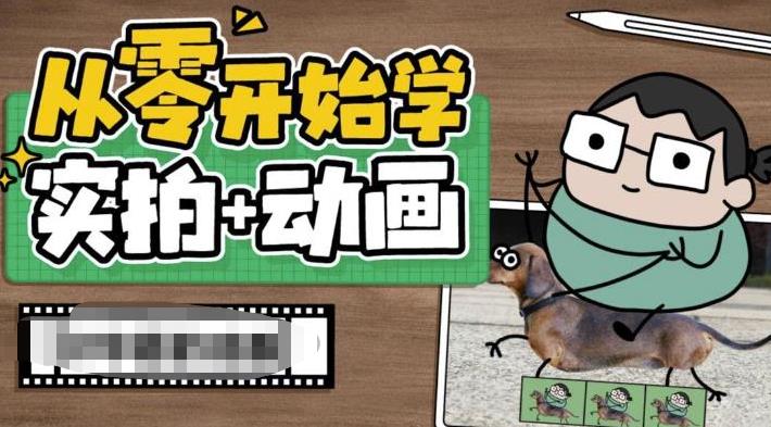 从零开始学实拍加动画，实拍加动画创意教程（49节视频课）-老月项目库