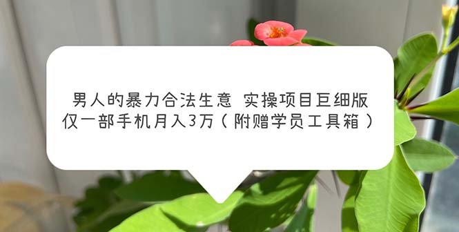 男人的暴力合法生意实操项目巨细版：仅一部手机月入3w（附赠学员工具箱）-老月项目库