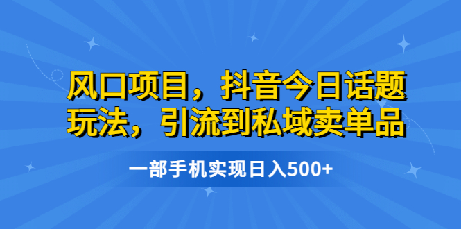 风口项目，抖音今日话题玩法，引流到私域卖单品，一部手机实现日入500+-老月项目库