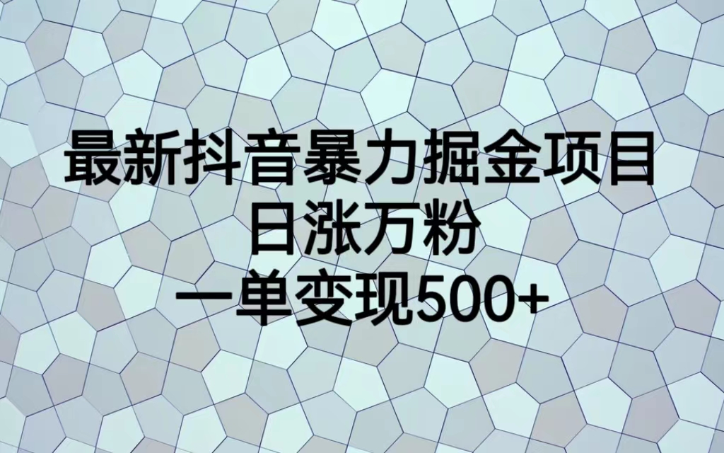 最新抖音暴力掘金项目，日涨万粉，一单变现500+-老月项目库