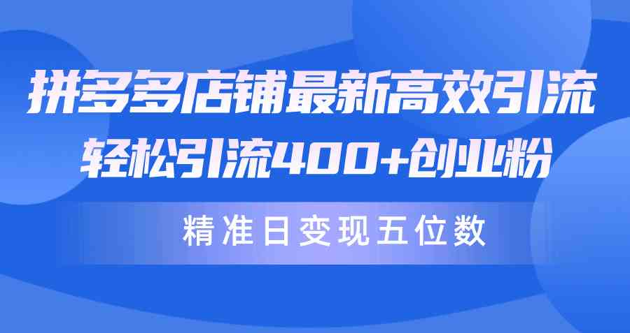 （10041期）拼多多店铺最新高效引流术，轻松引流400+创业粉，精准日变现五位数！-老月项目库