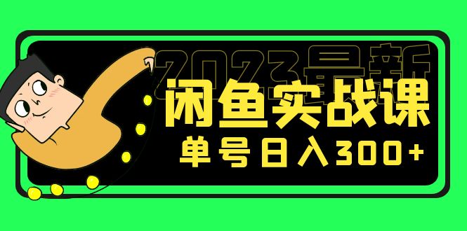 花599买的闲鱼项目：2023最新闲鱼实战课，单号日入300+（7节课）-老月项目库