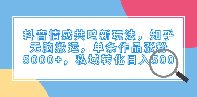 抖音情感共鸣新玩法，知乎无脑搬运，单条作品涨粉5000+，私域转化日入500-老月项目库