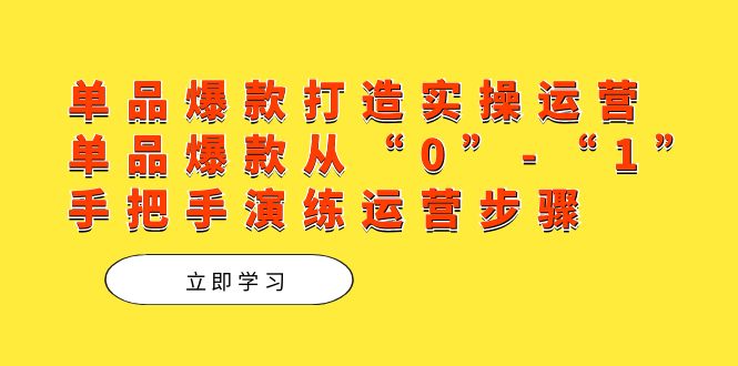 单品爆款打造实操运营，单品爆款从“0”-“1”手把手演练运营步骤-老月项目库