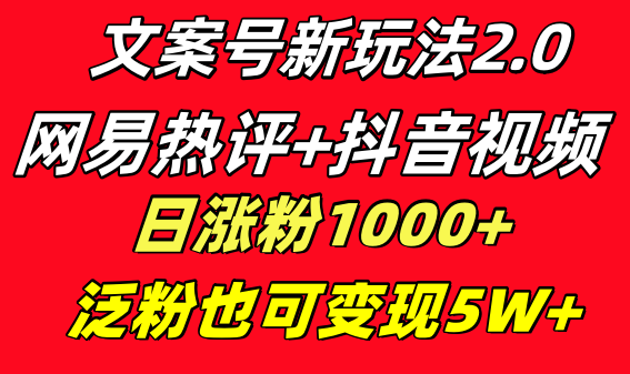 文案号新玩法 网易热评+抖音文案 一天涨粉1000+ 多种变现模式 泛粉也可变现-老月项目库