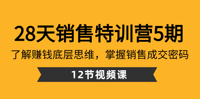 28天·销售特训营5期：了解赚钱底层思维，掌握销售成交密码（12节课）-老月项目库