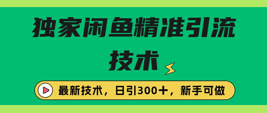 独家闲鱼引流技术，日引300＋实战玩法-老月项目库