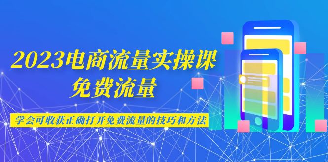 2023电商流量实操课-免费流量，学会可收获正确打开免费流量的技巧和方法-老月项目库