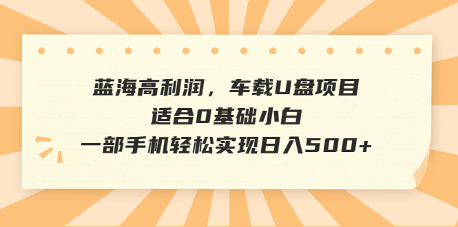 蓝海高利润，车载U盘项目，适合0基础小白，一部手机轻松实现日入500+-老月项目库