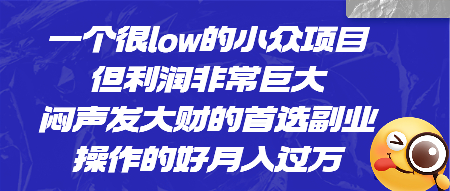 一个很low的小众项目，但利润非常巨大，闷声发大财的首选副业，月入过万-老月项目库