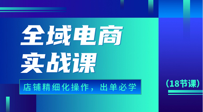 全域电商实战课，个人店铺精细化操作流程，出单必学内容（18节课）-老月项目库