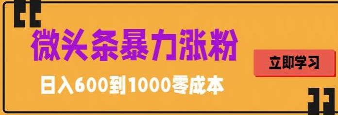 微头条暴力涨粉技巧搬运文案就能涨几万粉丝，简单0成本，日赚600-老月项目库