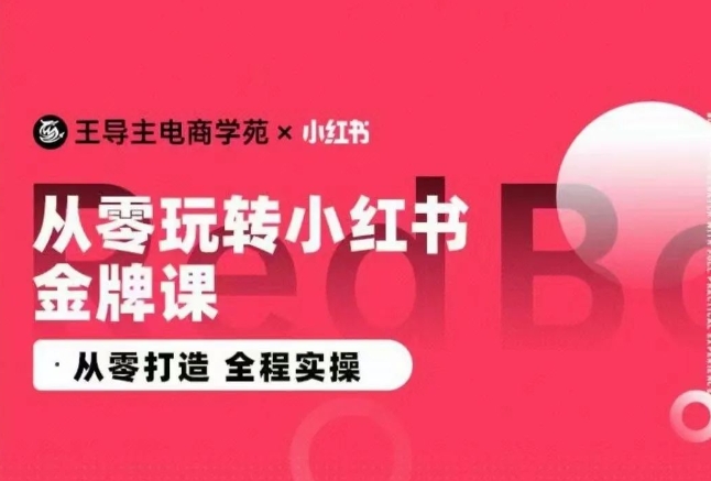 王导主·小红书电商运营实操课，​从零打造  全程实操-老月项目库