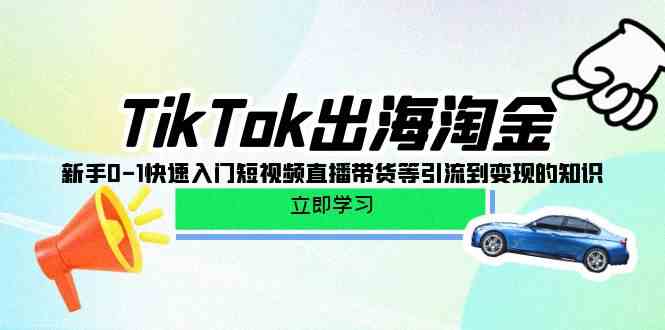 （10035期）TikTok-出海淘金，新手0-1快速入门短视频直播带货等引流到变现的知识-老月项目库