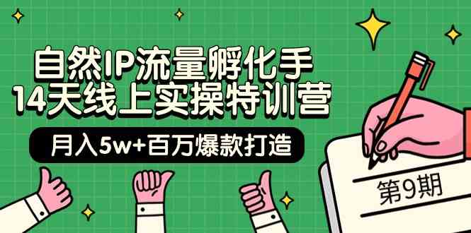 （9881期）自然IP流量孵化手 14天线上实操特训营【第9期】月入5w+百万爆款打造 (74节)-老月项目库