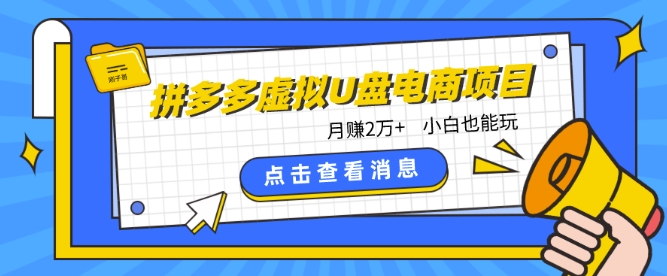 拼多多虚拟U盘电商红利项目：月赚2万+，新手小白也能玩-老月项目库