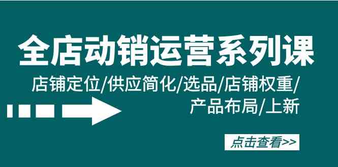 全店动销运营系列课：店铺定位/供应简化/选品/店铺权重/产品布局/上新-老月项目库