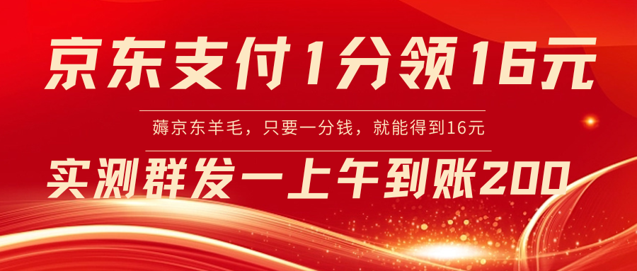 京东支付1分得16元实操到账200-老月项目库