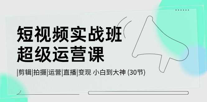 （10836期）短视频实战班-超级运营课，|剪辑|拍摄|运营|直播|变现 小白到大神 (30节)-老月项目库