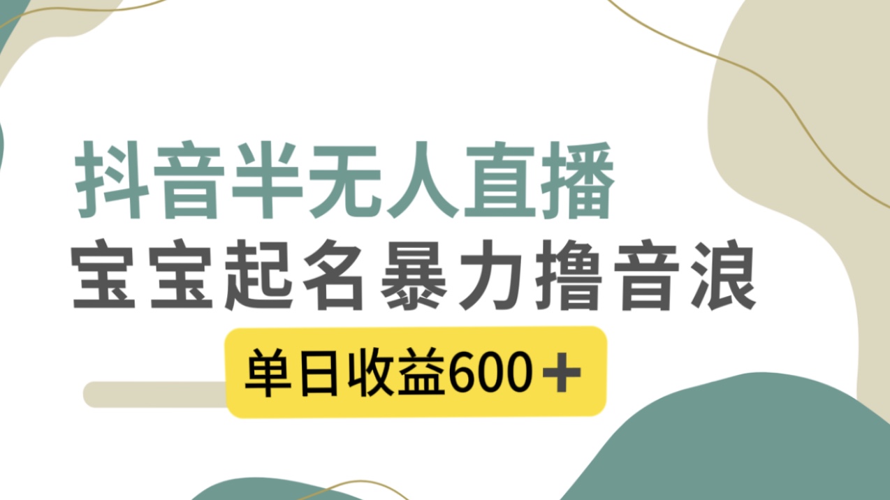 抖音半无人直播，宝宝起名，暴力撸音浪，单日收益600+-老月项目库