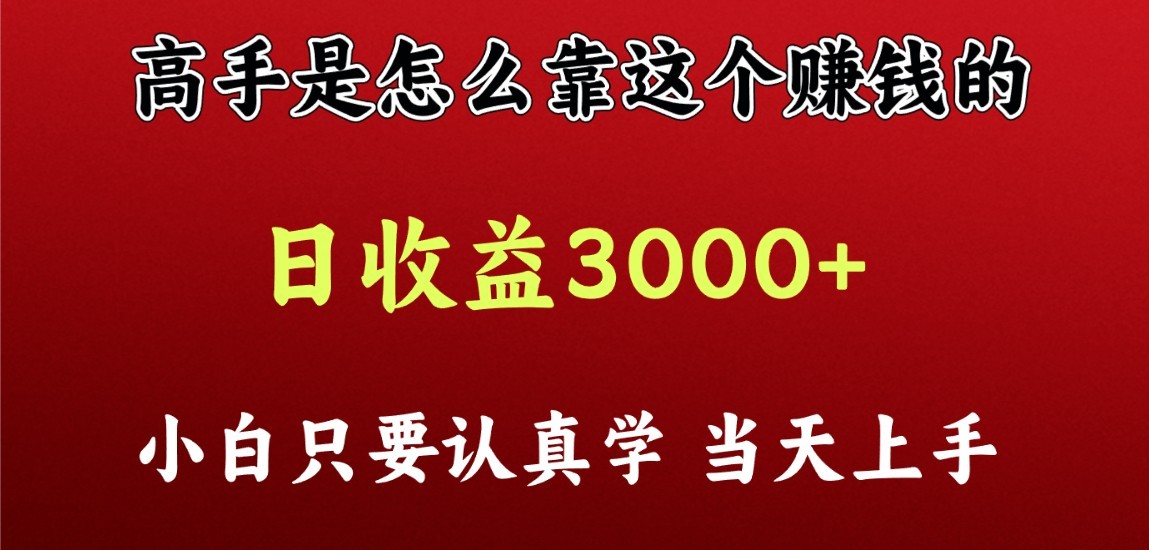 看高手是怎么赚钱的，一天收益至少3000+以上，小白当天上手-老月项目库