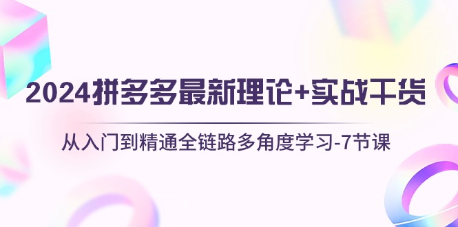 （10816期）2024拼多多 最新理论+实战干货，从入门到精通全链路多角度学习-7节课-老月项目库