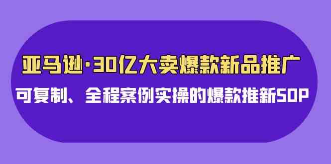 （9944期）亚马逊30亿·大卖爆款新品推广，可复制、全程案例实操的爆款推新SOP-老月项目库