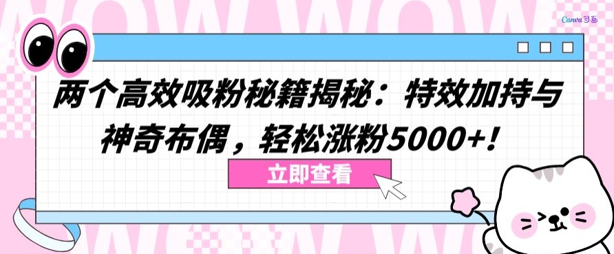 两个高效吸粉秘籍揭秘：特效加持与神奇布偶，轻松涨粉5000+-老月项目库