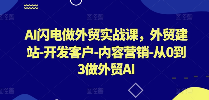 AI闪电做外贸实战课，​外贸建站-开发客户-内容营销-从0到3做外贸AI-老月项目库