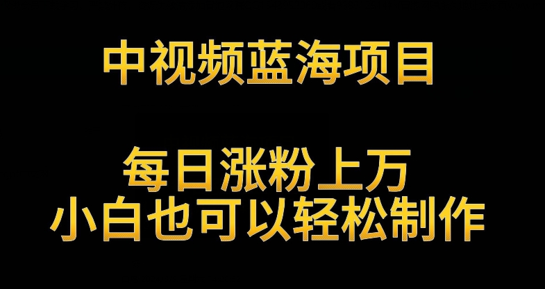 中视频蓝海项目，解读英雄人物生平，每日涨粉上万，小白也可以轻松制作，月入过万不是梦-老月项目库