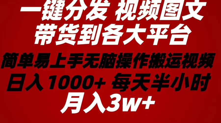 （10667期）2024年 一键分发带货图文视频  简单易上手 无脑赚收益 每天半小时日入1…-老月项目库