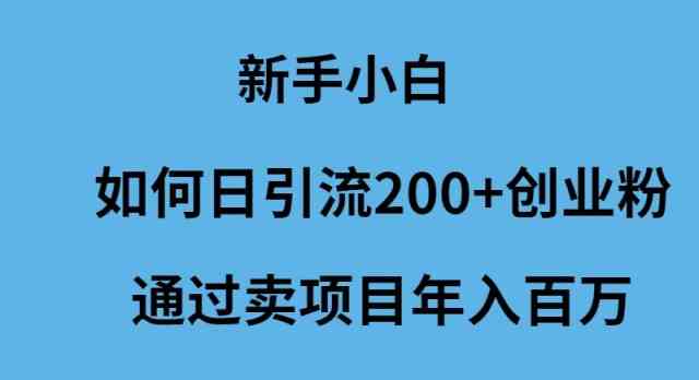 （9668期）新手小白如何日引流200+创业粉通过卖项目年入百万-老月项目库