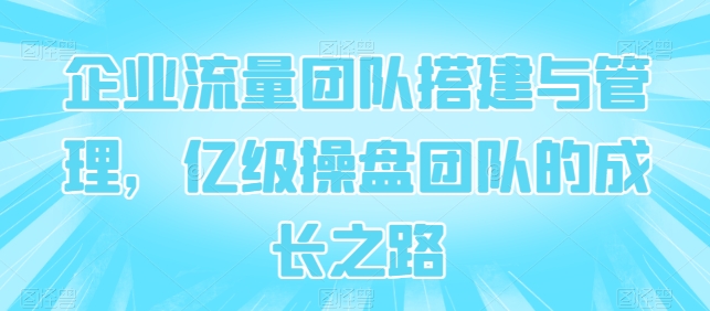 企业流量团队搭建与管理，亿级操盘团队的成长之路-老月项目库